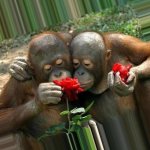 Чем занять себя и дитё перед Нового Года?