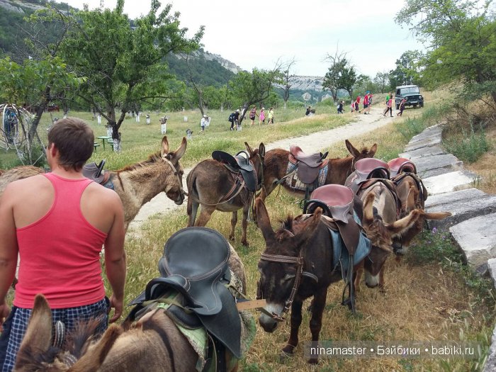 "Чудо-ослики" — Туризм и путешествия: фотоотчеты из поездок (фото 9)