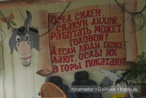 "Чудо-ослики" — Туризм и путешествия: фотоотчеты из поездок