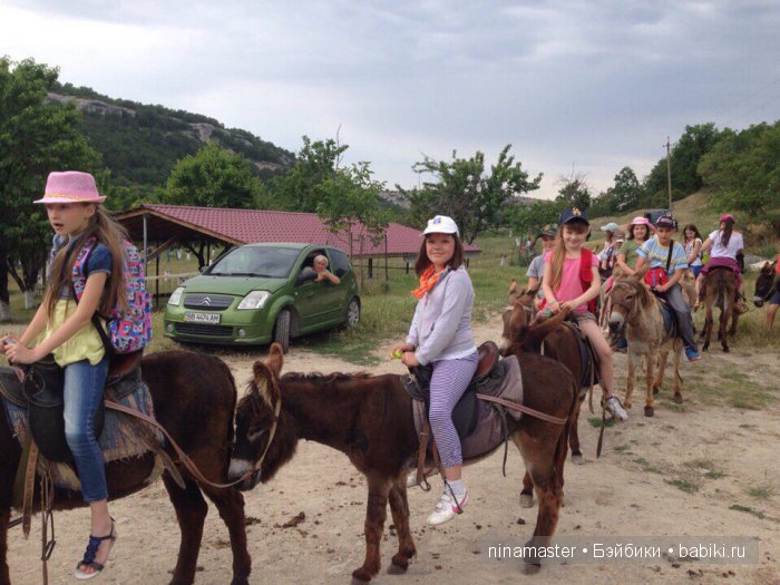 "Чудо-ослики" — Туризм и путешествия: фотоотчеты из поездок