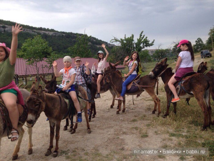 "Чудо-ослики" — Туризм и путешествия: фотоотчеты из поездок