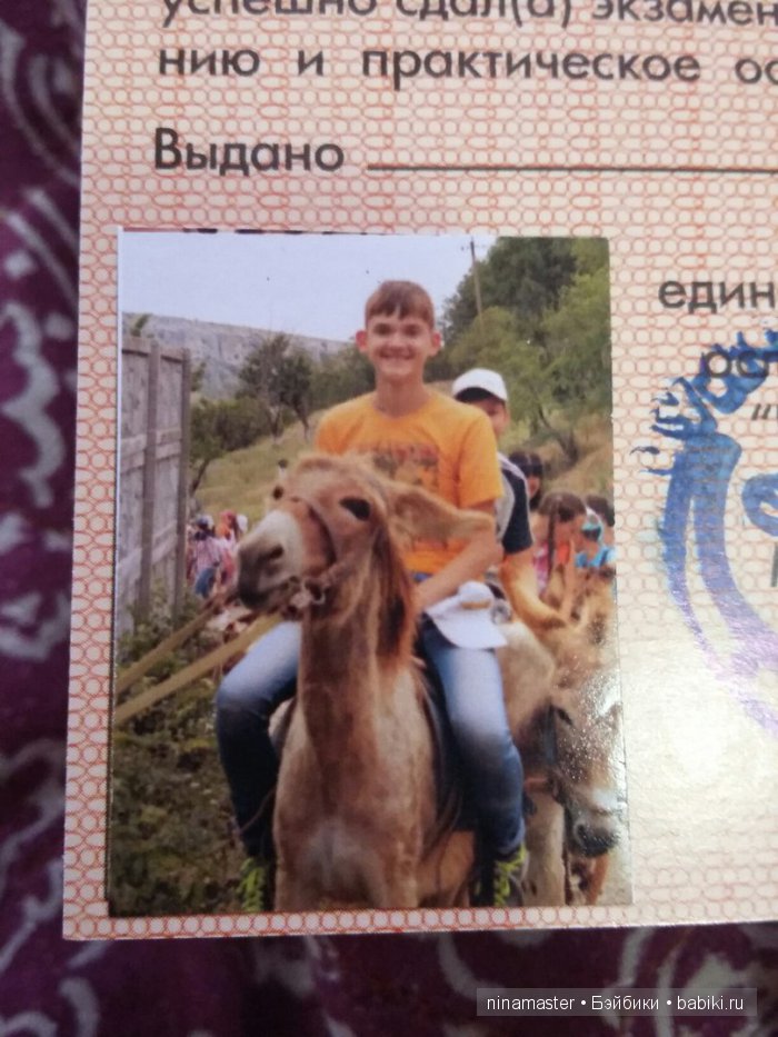 "Чудо-ослики" — Туризм и путешествия: фотоотчеты из поездок