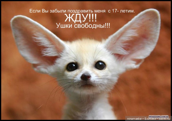 55 или 17 — Болталка и разговоры обо всем: жизнь