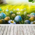 Фоны для фотосессий