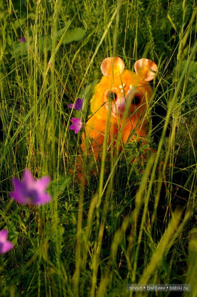 Мульфы... бесхвостые и хвостатые