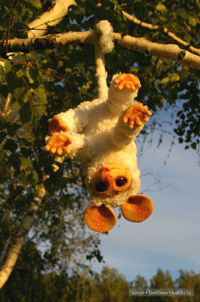 Мульфы... бесхвостые и хвостатые (фото 3)