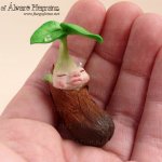 Авторские куклы AlvaroFuegoFatuo dolls и его гномье царство