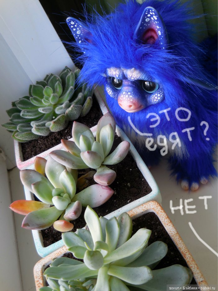 Пред и посленовогодние мульфы