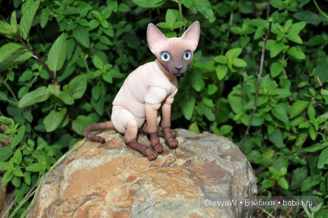 Кот, который гуляет сам по себе... и Дакота | Бэйбики Кот, который гуляет сам по себе... и Дакота (фото 2)
