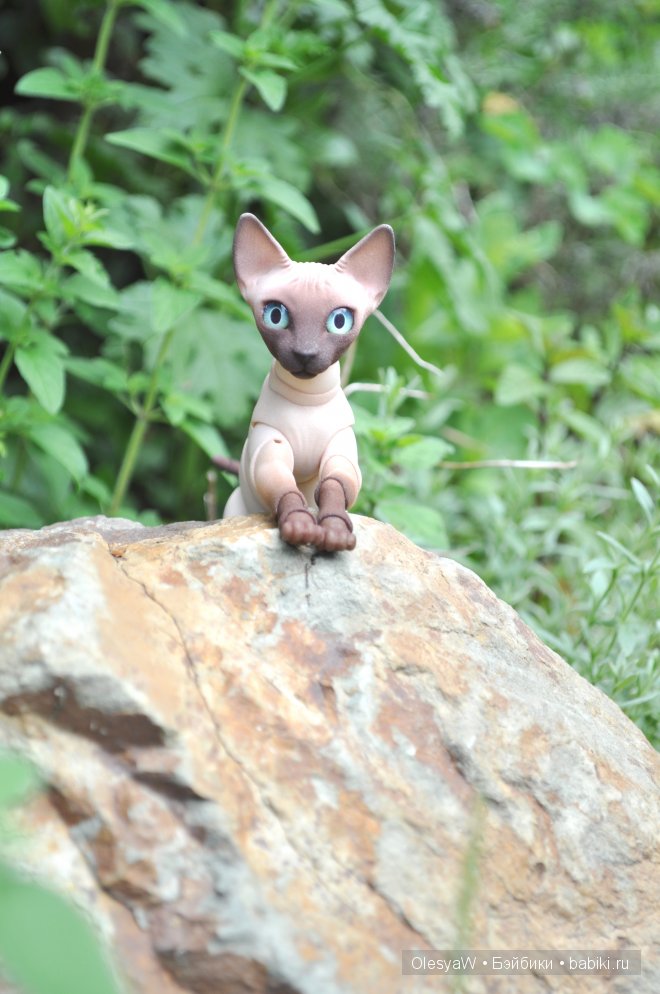 Кот, который гуляет сам по себе... и Дакота | Бэйбики Кот, который гуляет сам по себе... и Дакота (фото 4)