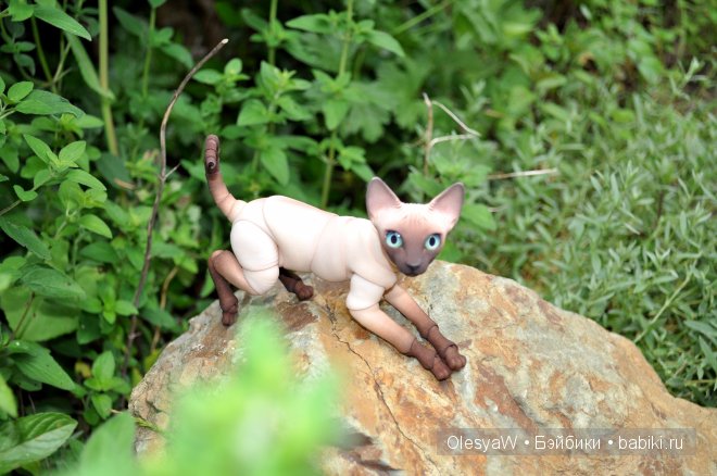 Кот, который гуляет сам по себе... и Дакота | Бэйбики Кот, который гуляет сам по себе... и Дакота (фото 3)