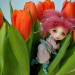 Кротик Kete Dust of Dolls