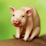 Мини пиги, mini pig. Шарнирная свинка от Инны Криковцевой