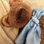 Мишка Тедди