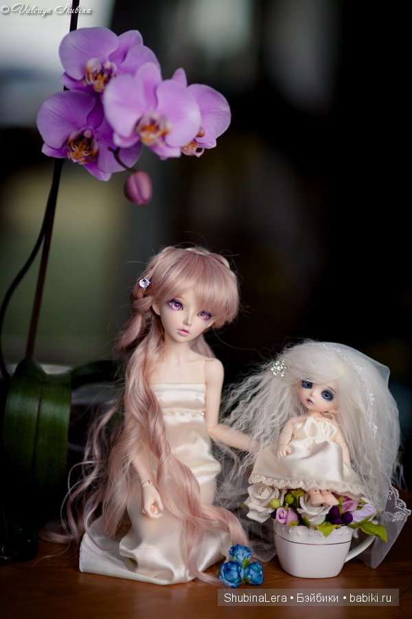 Мои BJD девочки - Ренесми и Катаринка (фото 8)