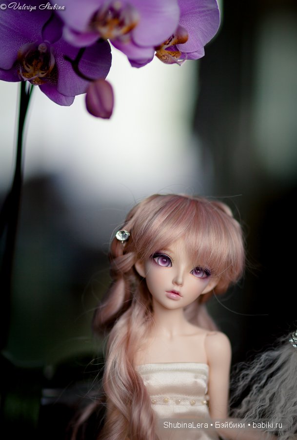 Мои BJD девочки - Ренесми и Катаринка (фото 4)