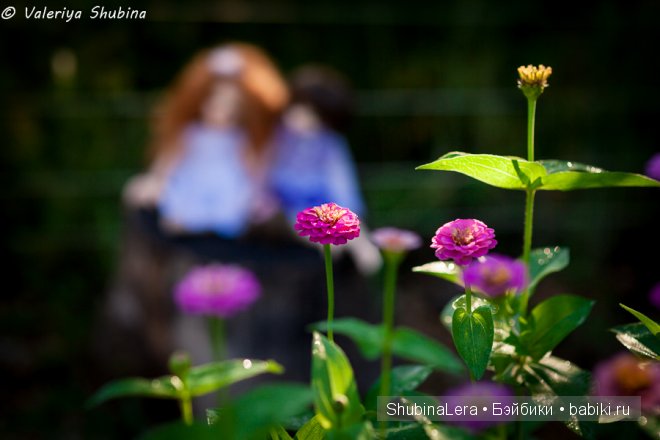 Мишель с новой сестренкой на прогулке (фото 7)