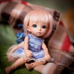 Моя Алисочка и Ко