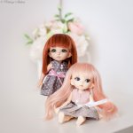 Мои Пукифишки.