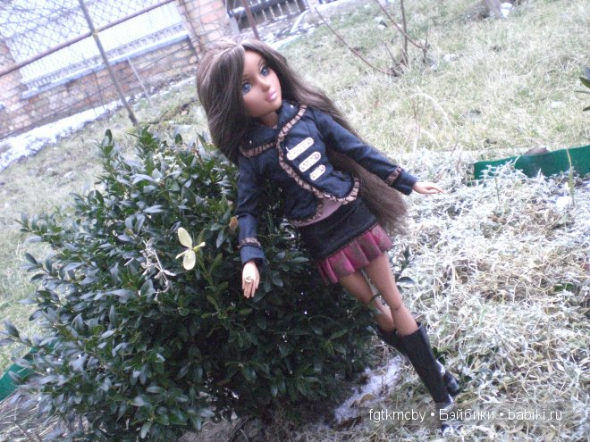 Иваннушка путешествинница (фото 5)