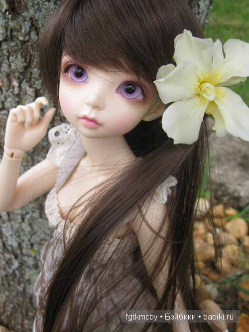 MiniFee Ante FairyLand