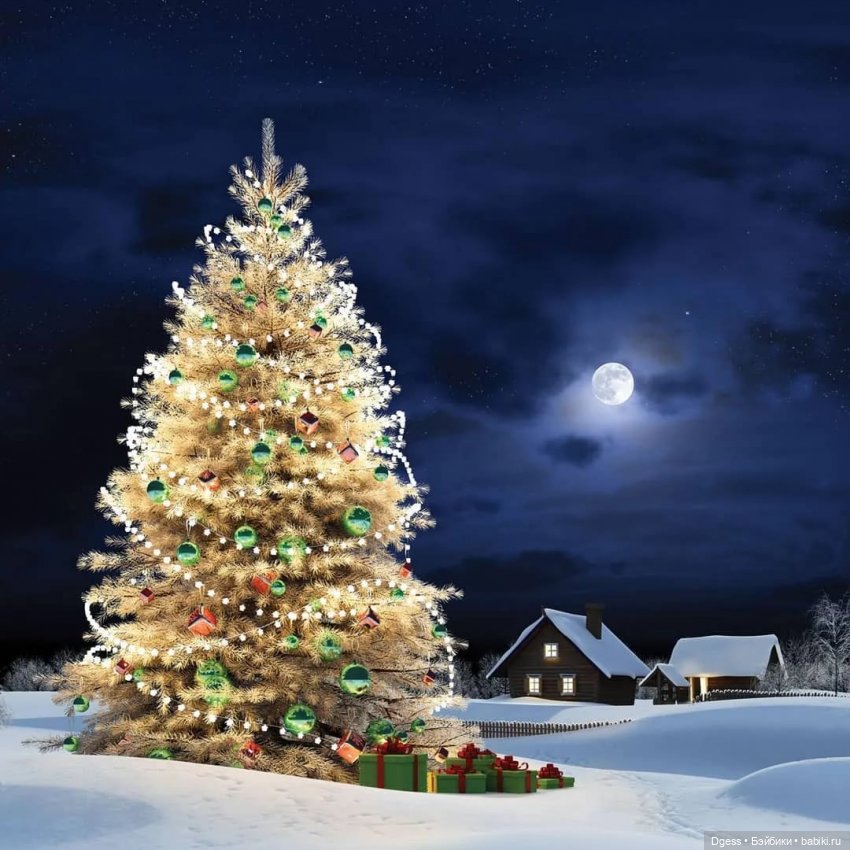 Winter Splendor Lee Middleton | Бэйбики Winter Splendor Lee Middleton