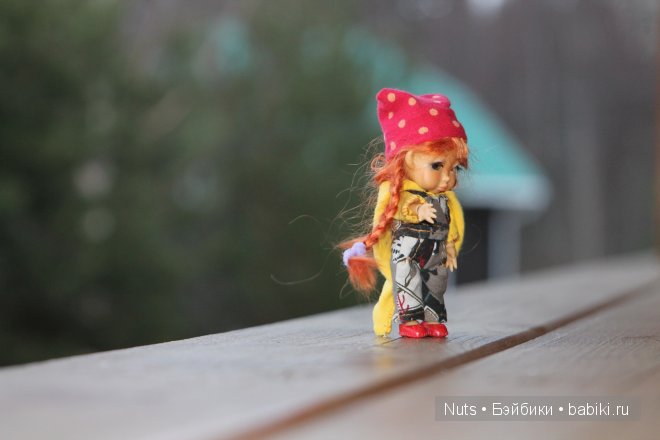 Ура! Карелия — Туризм и путешествия: фотоотчеты из поездок (фото 5)