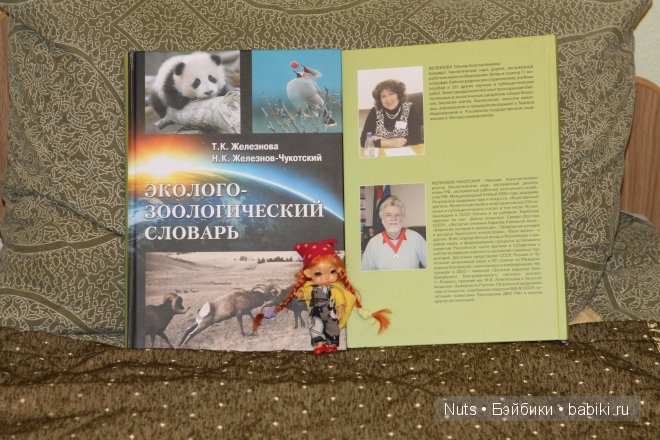 Ура! Карелия — Туризм и путешествия: фотоотчеты из поездок (фото 6)