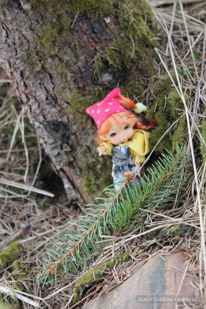 Ура! Карелия — Туризм и путешествия: фотоотчеты из поездок