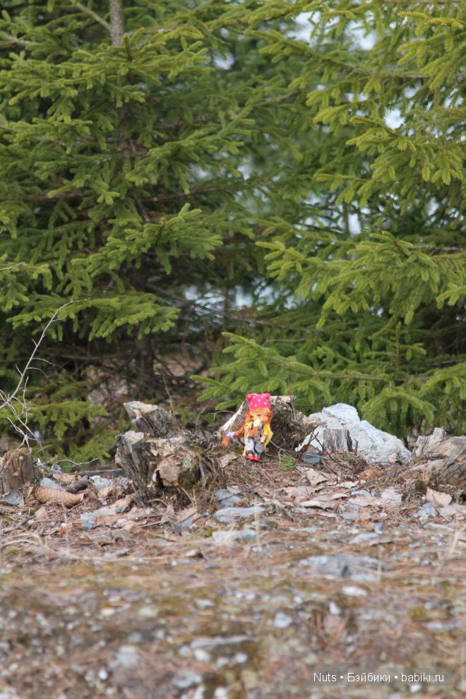 Ура! Карелия — Туризм и путешествия: фотоотчеты из поездок (фото 8)