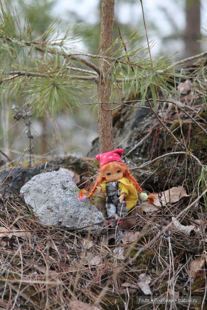 Ура! Карелия — Туризм и путешествия: фотоотчеты из поездок (фото 10)