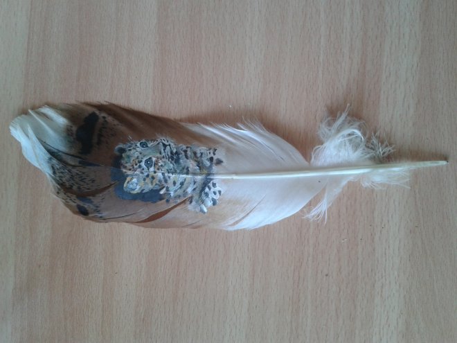 И снова перья! Рисунок на пере своими руками