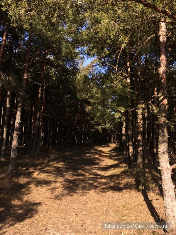 Очаровательные малышки от Dust of Dolls (фото 7)