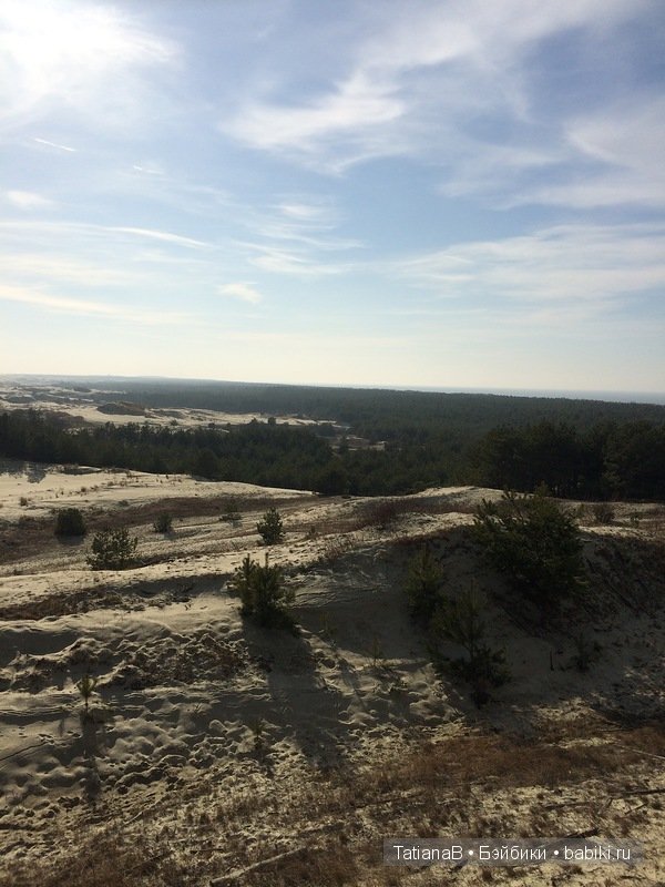 Очаровательные малышки от Dust of Dolls (фото 5)