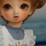 И снова мои любимые куклы Volks.