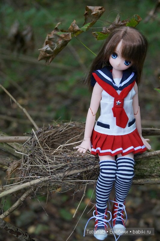 Азонки на прогулке — Куклы Azone (Азон) и тела Pure Neemo: фото (фото 7)