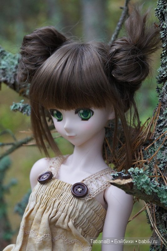 Акира - DD Volks — Куклы Volks (Волкс): Super Dollfie (SD) и Dollfie Dream (DD) (фото 4)
