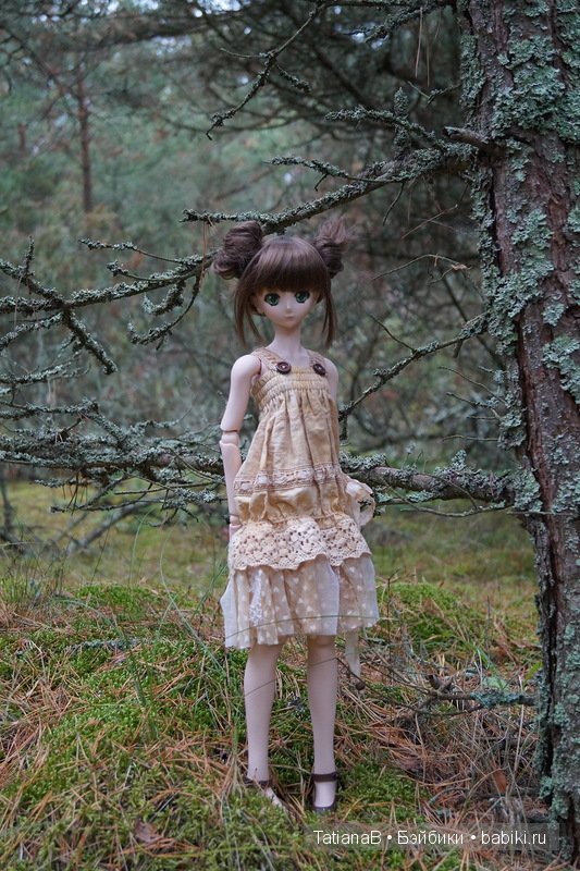 Акира - DD Volks — Куклы Volks (Волкс): Super Dollfie (SD) и Dollfie Dream (DD) (фото 7)