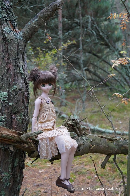 Акира - DD Volks — Куклы Volks (Волкс): Super Dollfie (SD) и Dollfie Dream (DD) (фото 5)