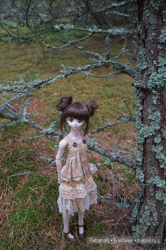 Акира - DD Volks — Куклы Volks (Волкс): Super Dollfie (SD) и Dollfie Dream (DD) (фото 6)