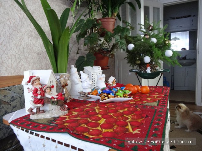 Настоящий Дед Мороз — Куклы Реборн (Reborn): домашние фото