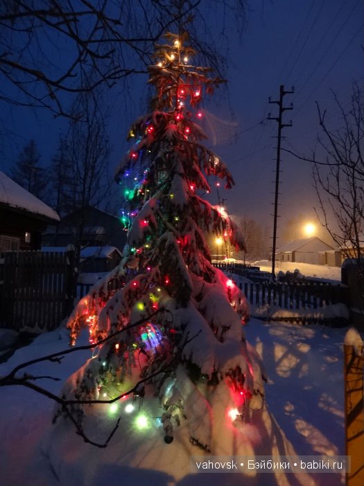 Настоящий Дед Мороз — Куклы Реборн (Reborn): домашние фото (фото 7)