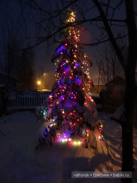 Настоящий Дед Мороз — Куклы Реборн (Reborn): домашние фото