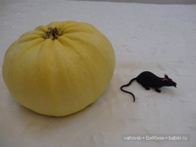 Сказка о Золушке. Ремикс — Куклы Реборн (Reborn): домашние фото