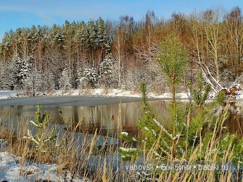 Зимние забавы! Мои куклы реборн (фото 5)