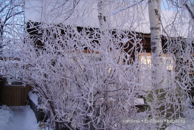 Во имя любви и добра! Мои куклы реборн (фото 5)