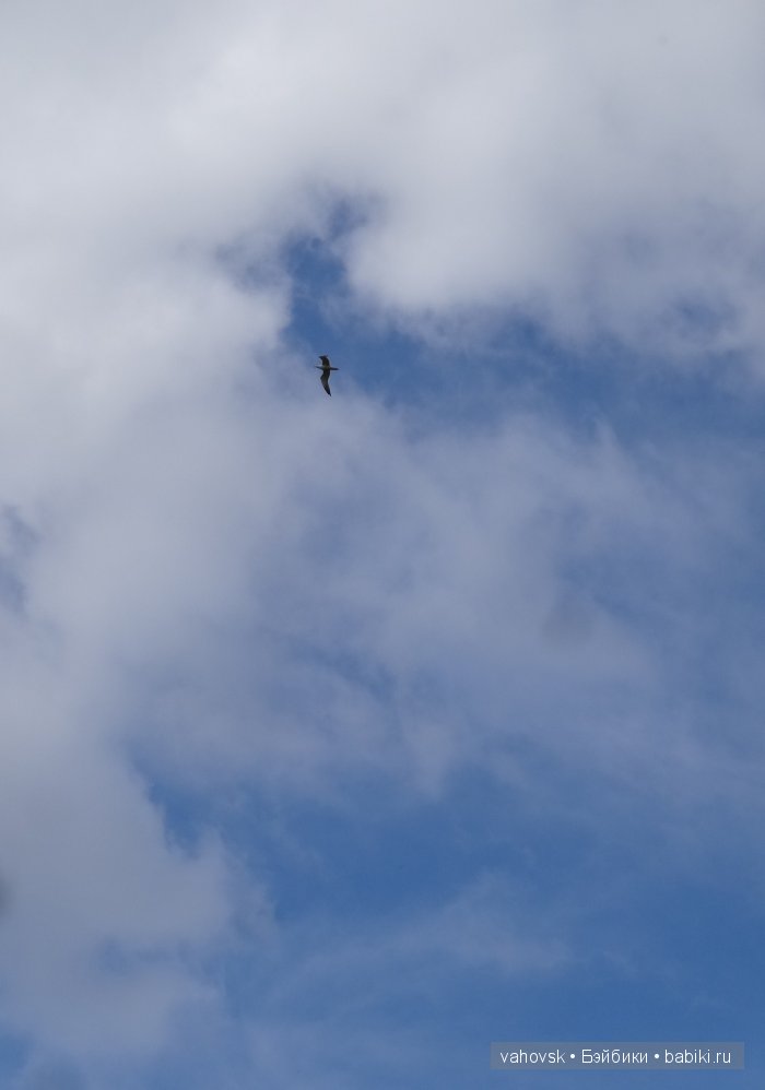 Волшебница Изумрудного города. Сказка-ремикс по повести А. Волкова. Часть 3 (фото 8)