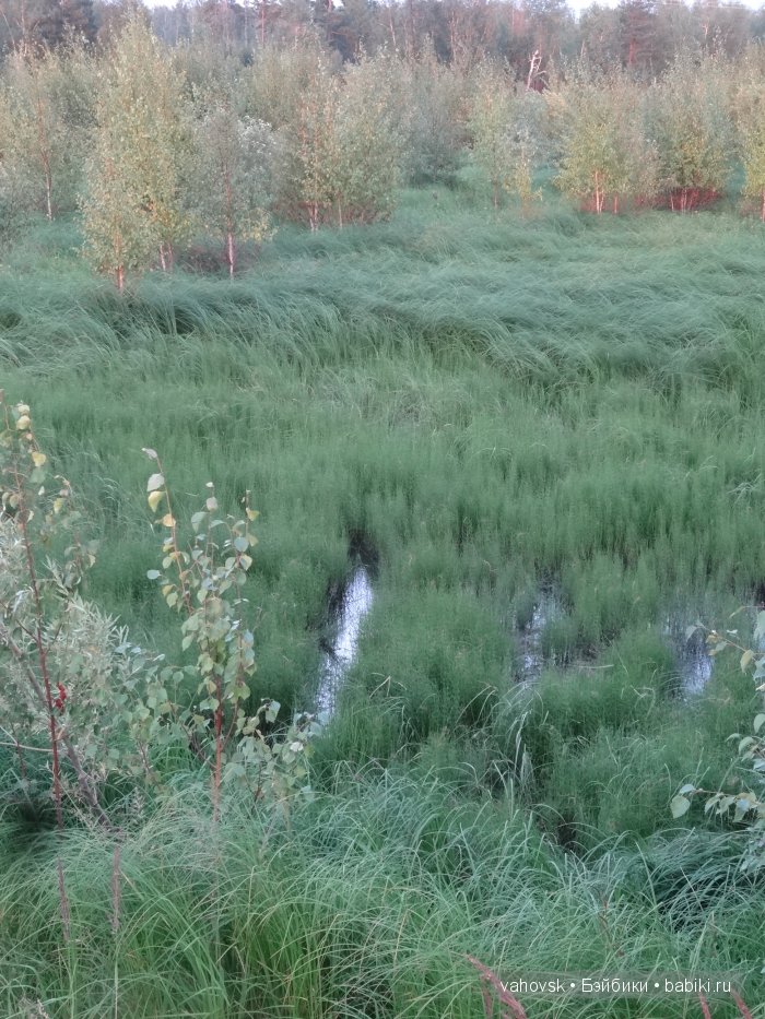 Волшебница Изумрудного города. Сказка-ремикс по повести А. Волкова. Часть 3