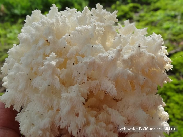 Волшебница Изумрудного города. Сказка-ремикс по повести А. Волкова. Часть 3