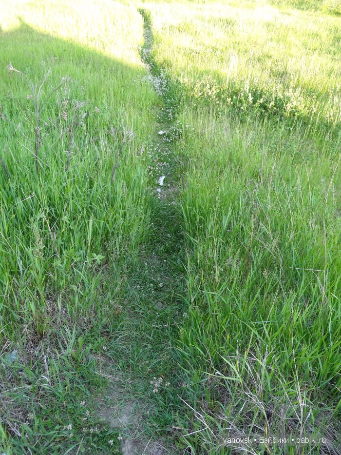 Волшебница Изумрудного города. Сказка-ремикс по повести А. Волкова. Часть 3